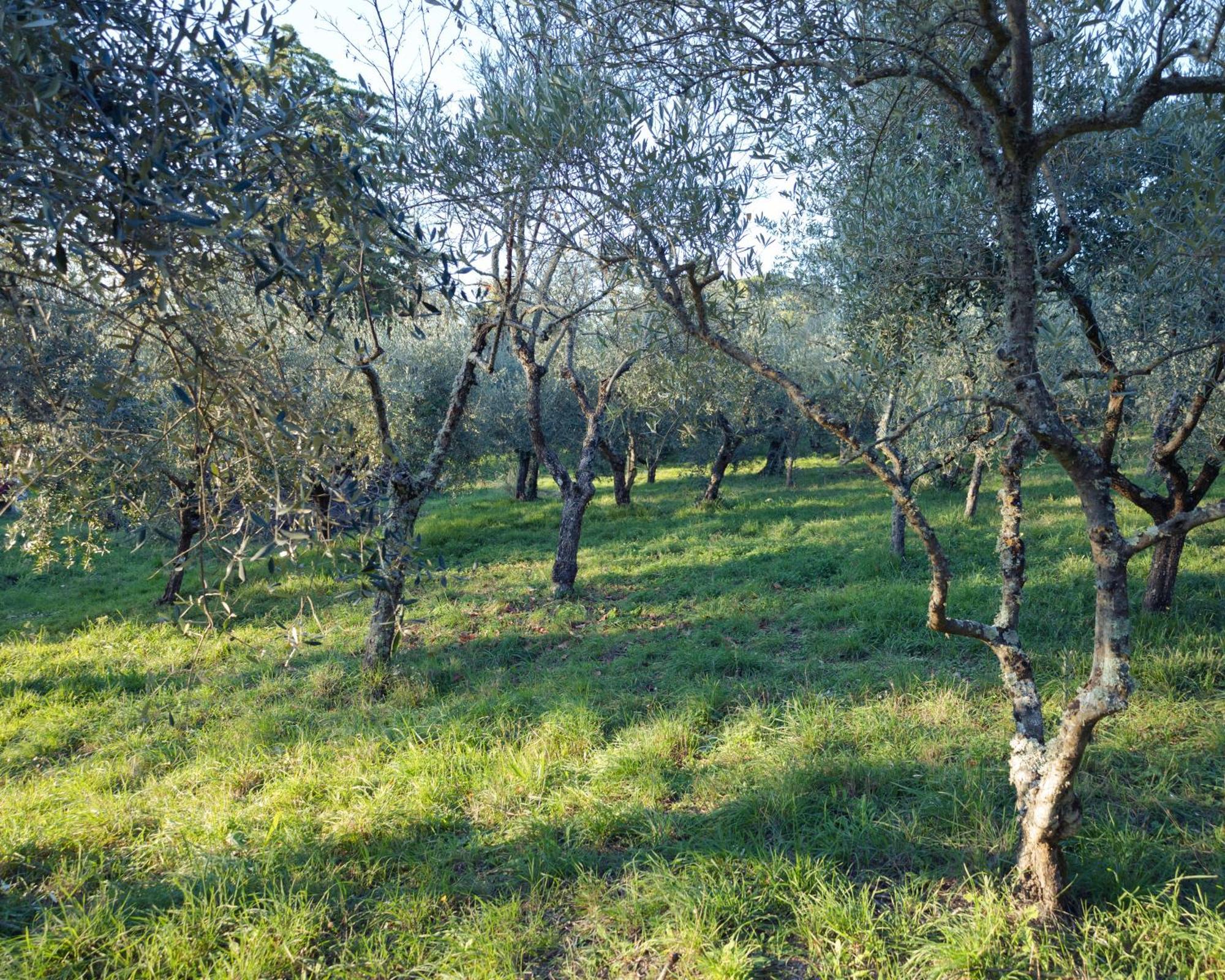 Il Nuvoloso 2 Città della Pieve Esterno foto